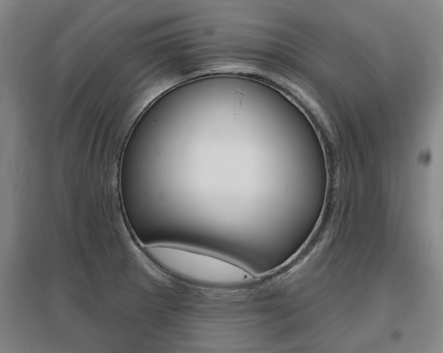 X0000095921281200801110846