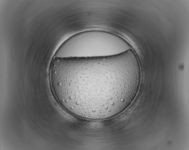 X0000095921283200801110846