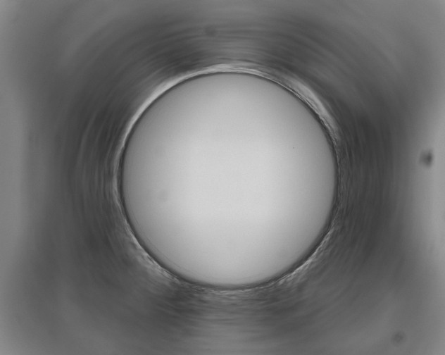 X0000095921284200801110846