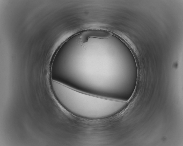 X0000095921285200801110846