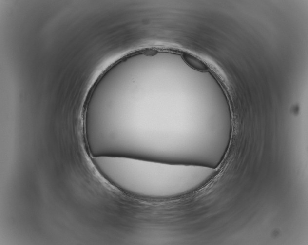 X0000095921287200801110846