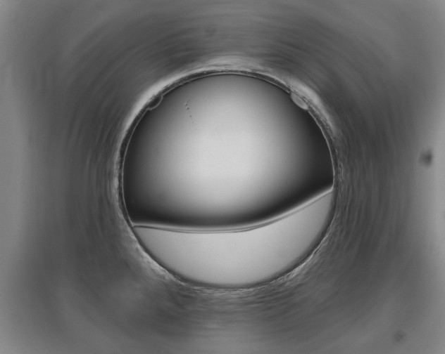 X0000095921288200801110846