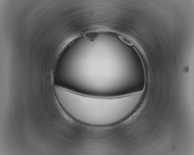 X0000095921289200801110846