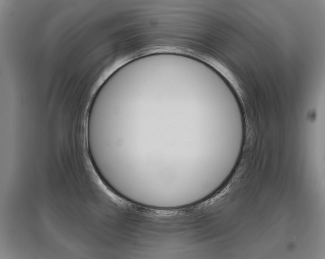 X0000095921290200801110846