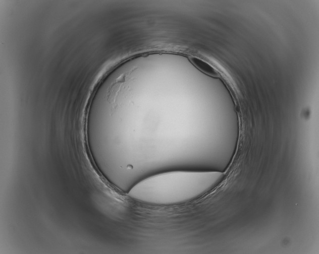 X0000095921291200801110846