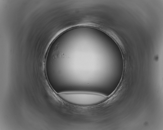 X0000095921292200801110845
