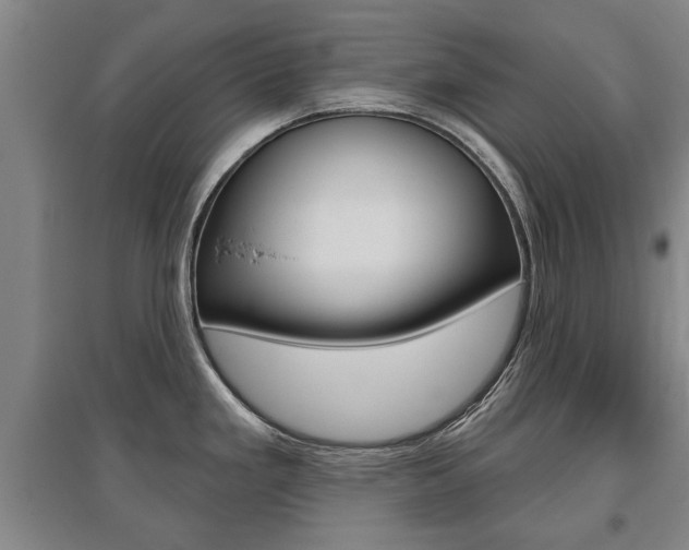 X0000095921293200801110845
