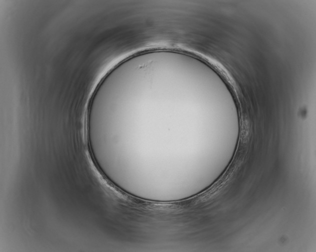 X0000095921295200801110845