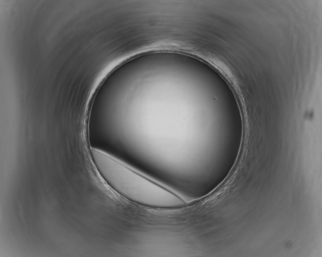 X0000095921296200801110845