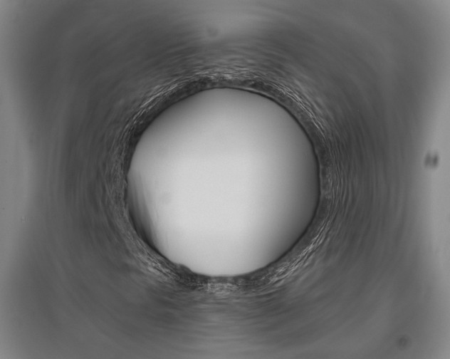 X0000095921297200801110845