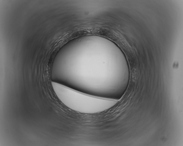 X0000095921298200801110845