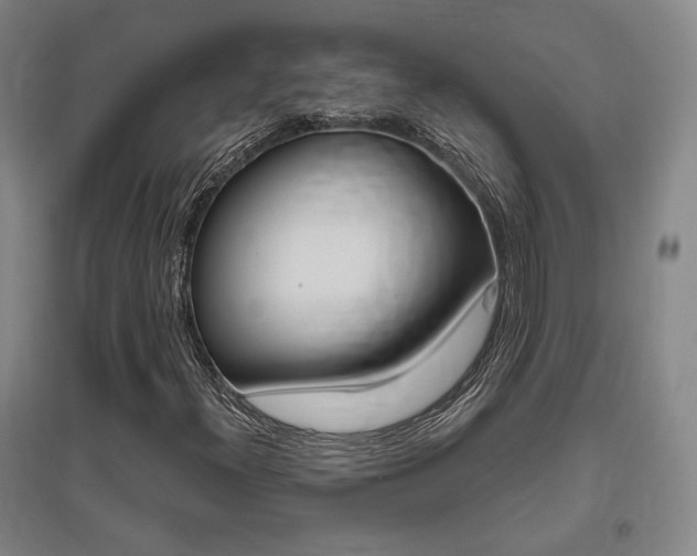 X0000095921300200801110845