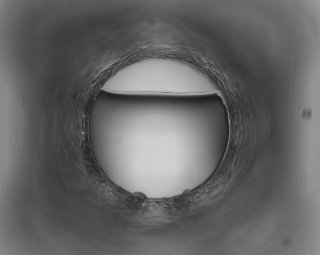 X0000095921301200801110845