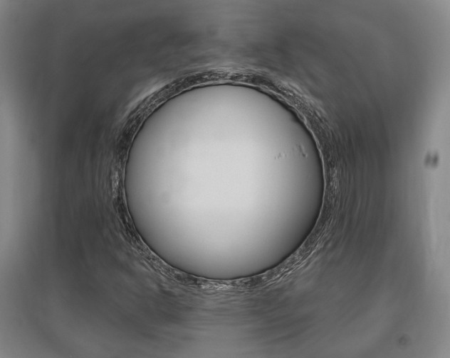 X0000095921302200801110845
