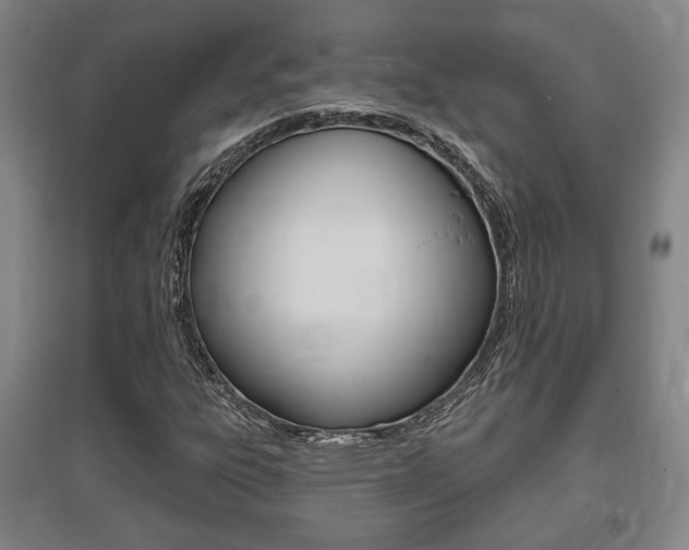 X0000095921303200801110845