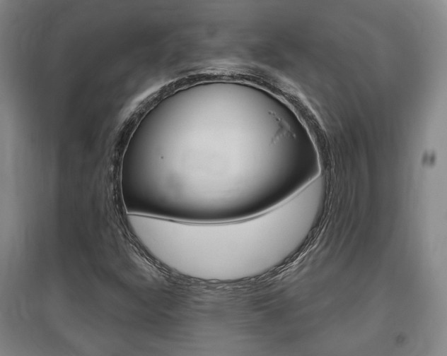 X0000095921304200801110845