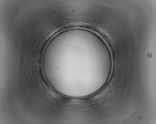 X0000095921305200801110845