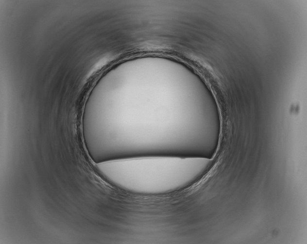 X0000095921306200801110845