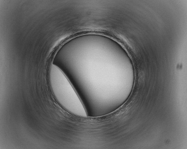 X0000095921307200801110845