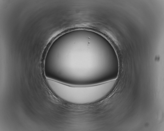 X0000095921308200801110845