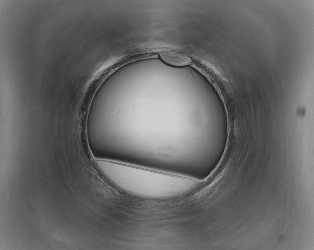 X0000095921309200801110845
