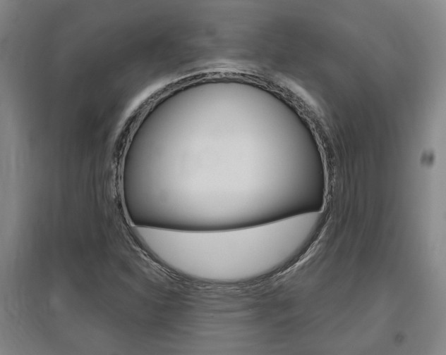 X0000095921310200801110845