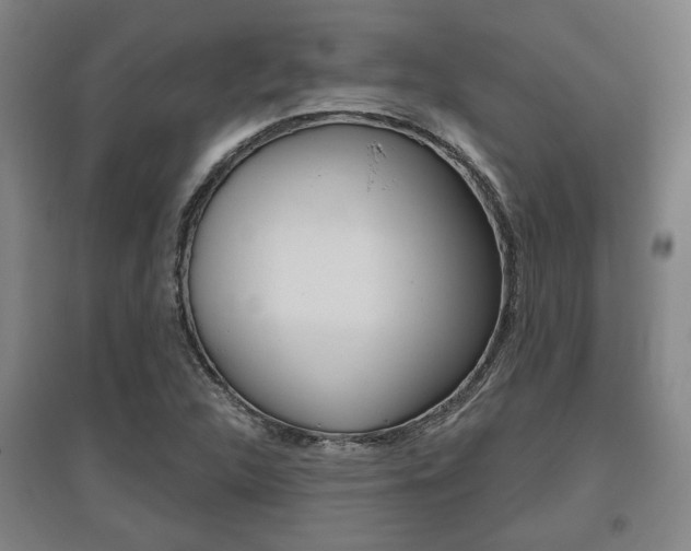 X0000095921312200801110845