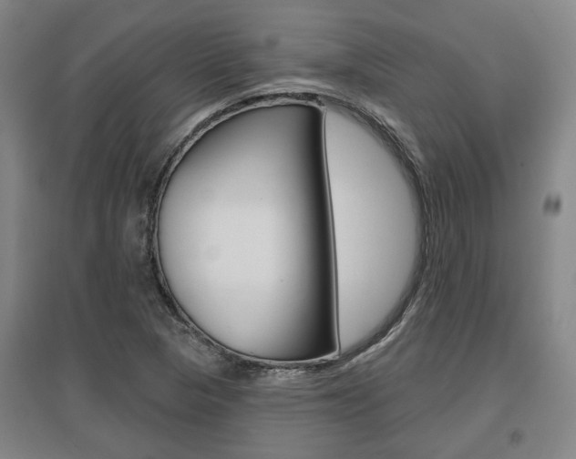 X0000095921313200801110845
