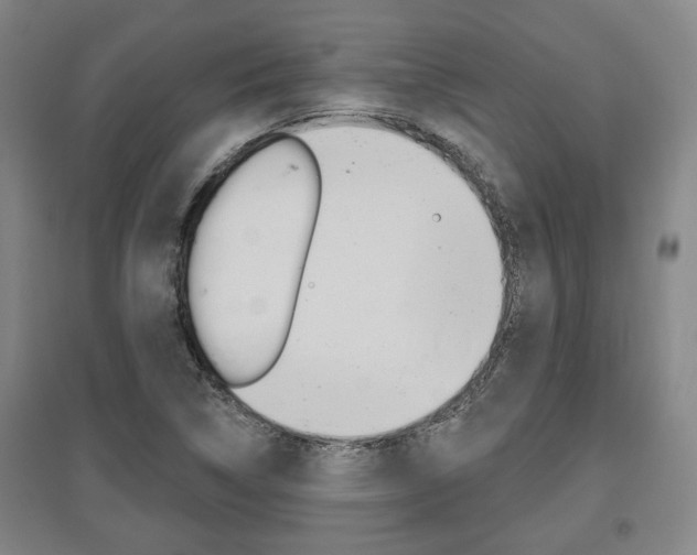 X0000095921314200801110845