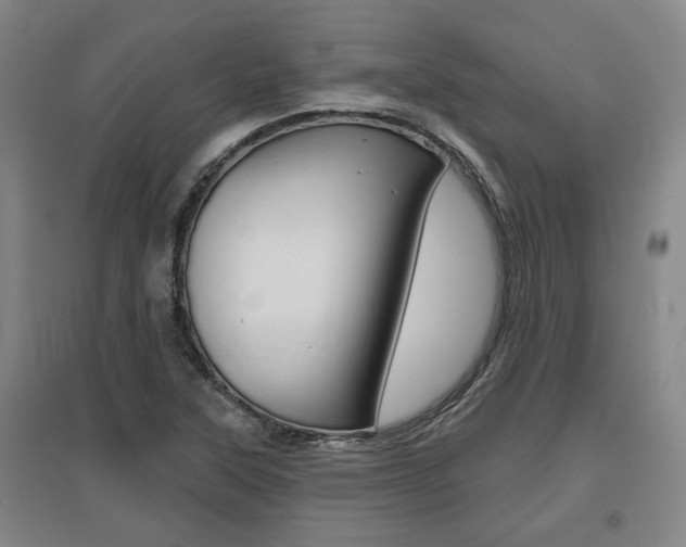 X0000095921315200801110845