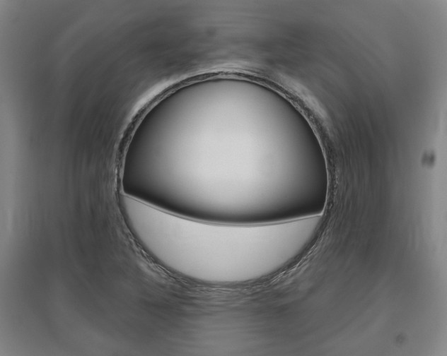 X0000095921316200801110845