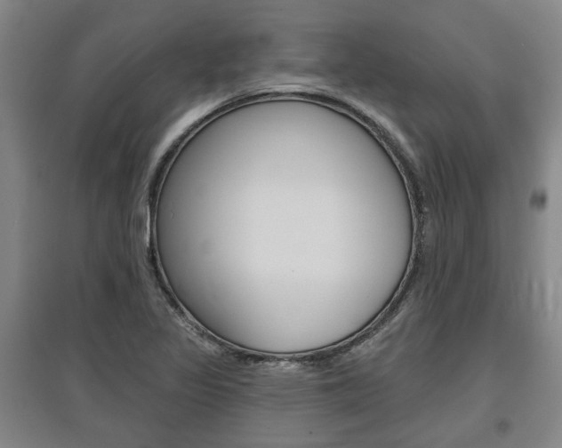 X0000095921317200801110845