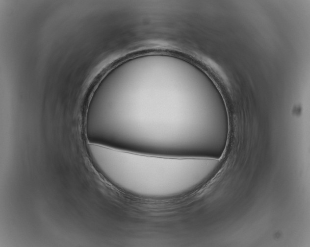 X0000095921318200801110845