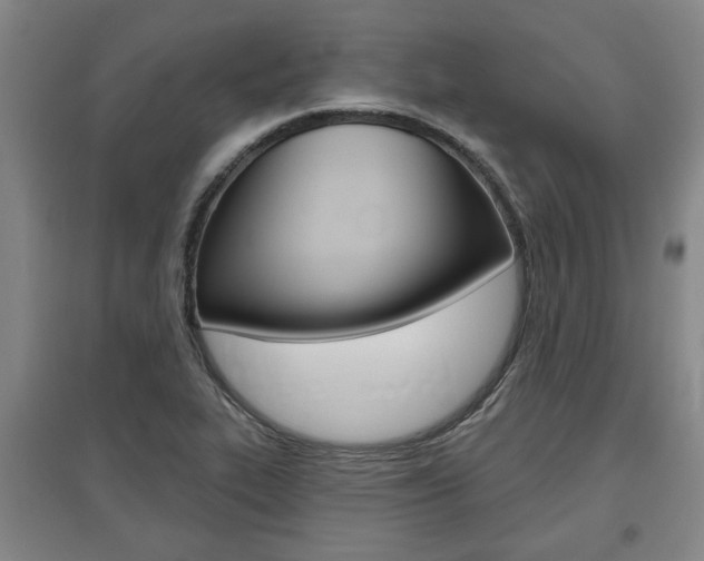 X0000095921319200801110845