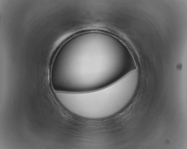 X0000095921320200801110845