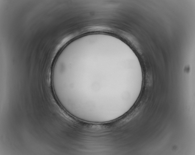 X0000095921322200801110845