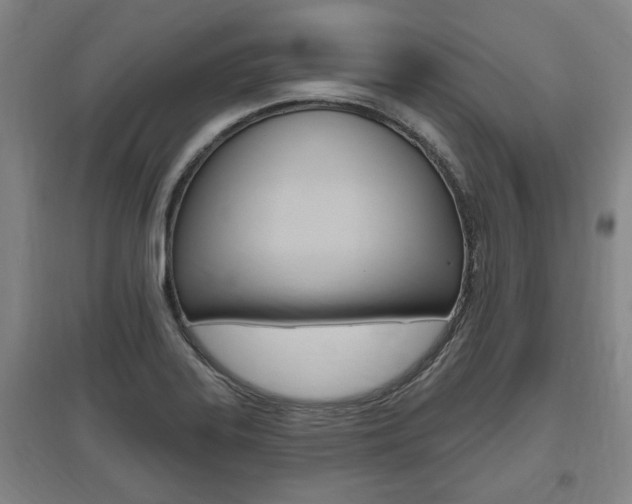X0000095921323200801110845