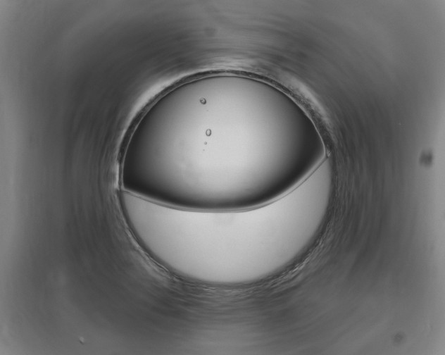 X0000095921324200801110845