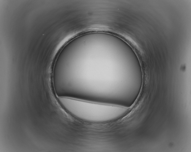 X0000095921325200801110845