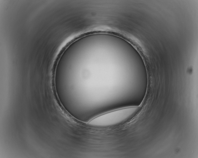 X0000095921326200801110845