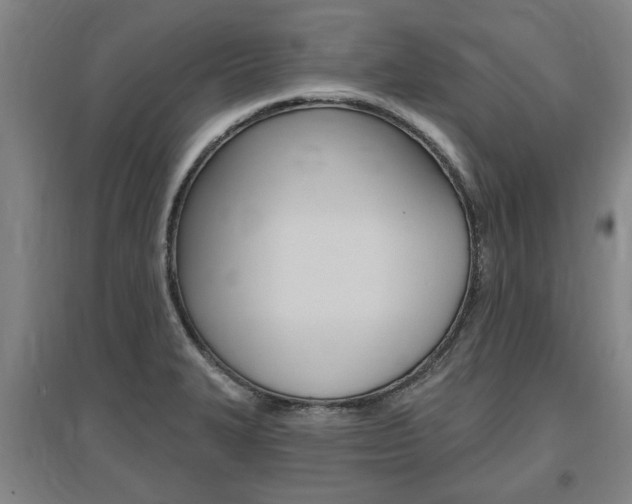X0000095921327200801110845