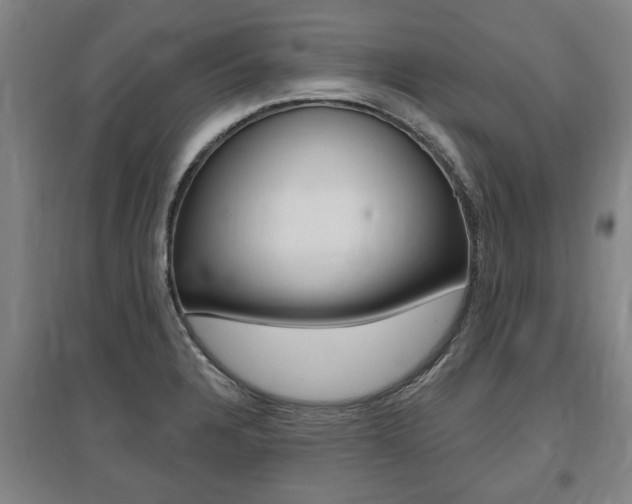 X0000095921328200801110845