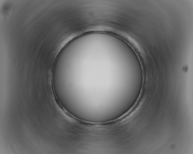 X0000095921329200801110845