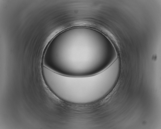 X0000095921330200801110845