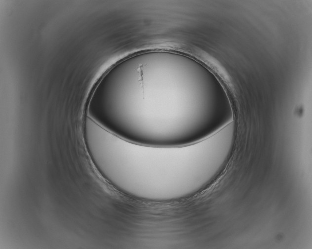 X0000095921332200801110845
