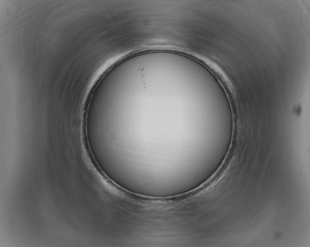 X0000095921333200801110845