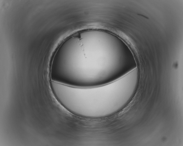 X0000095921334200801110845