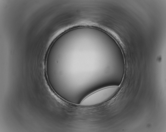 X0000095921335200801110845