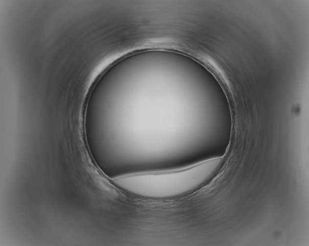 X0000095921336200801110845