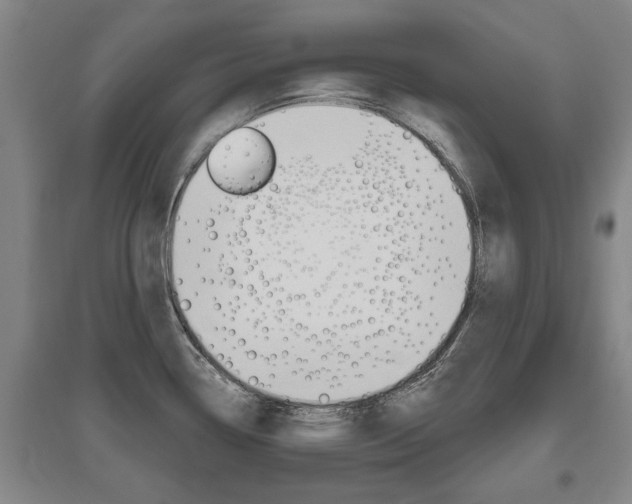 X0000095921338200801110845
